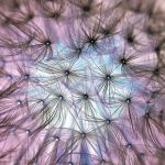 Awakening in The Age of Mega Change - 5 Benefits of Being Alive Now